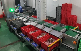赢博在线(中国)唯一官方网站助力兰州首个“中央厨房”分拣中心落成，赋能食品分拣新模式